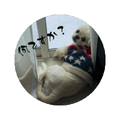 mozu_20250301091350
