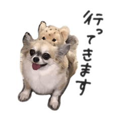 n_20250228155028