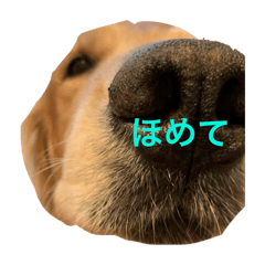 hana_20250228155223