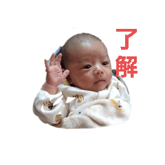 mako_20250228172931