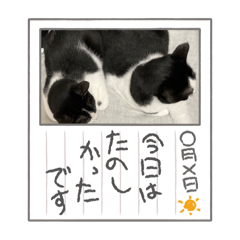 asahi_20250228200119