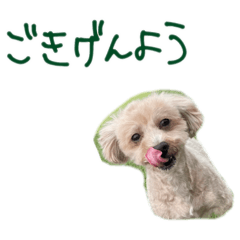 mame_20250228161442