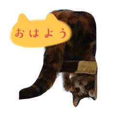 nono_20250228163549