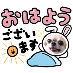 n_20250228163752