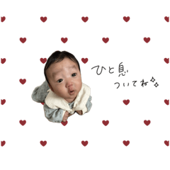 sakura_20250228164754