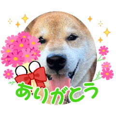 kanako_20250228191329