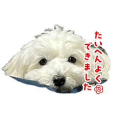 Rena_20250228191414