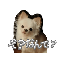 mm_20250228171844