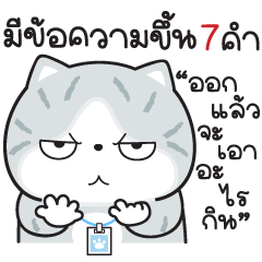 Munkaew little cat V.67