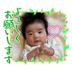 miho_20250228201109