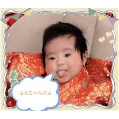 Hachi_20250228202225