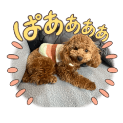 Leo_20250228225123