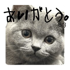 mm_20250228183154