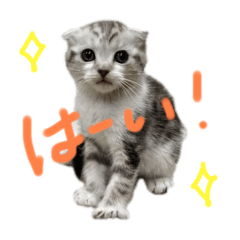 kaoru_20250228181928