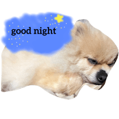 natsu_20250228212512