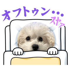 omochi_20250228212358