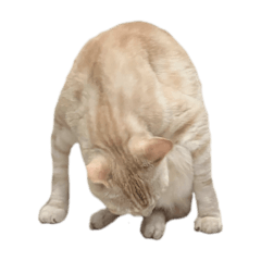 rrr_20250301002212