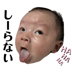 Risa_20250228184304