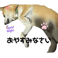 mei_20250228194939