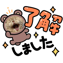 ruru_20250228205937