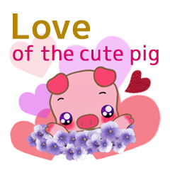 Love of the cute pig