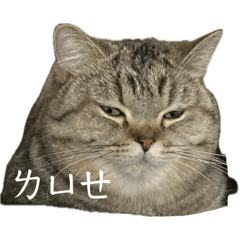 蝀奭家