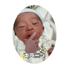 moe_20250228222817