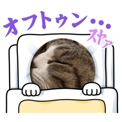Tomo_20250228230244