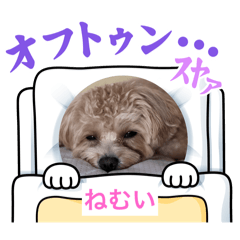 saeko_20250301090140