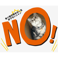 Mikan_20250228172940