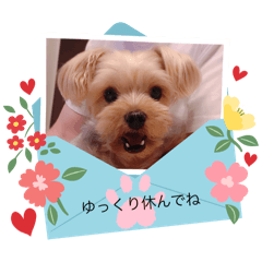 sawa_20250301011123