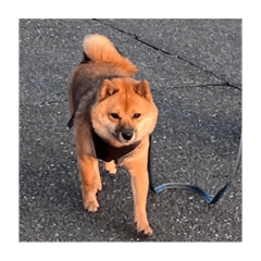 na_20250301004152