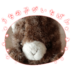 moka_20250228180054