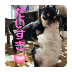 Misaki_20250301070137
