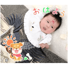 pipi_20250301083456