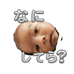 mako_20250301093115