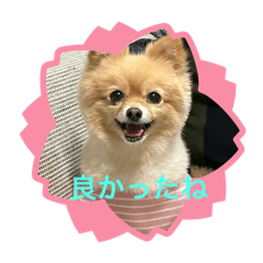 Maki_20250301095722