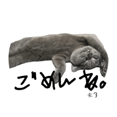 mm_20250301100344