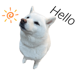 happy_20250301094708