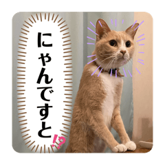 LiLy_20250301100143