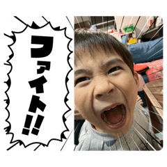 momo_202503010911