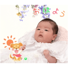nori_20250301111917