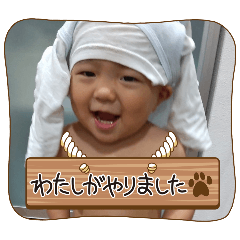 sho_20250301112345