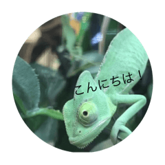 yuzu_20250301113528