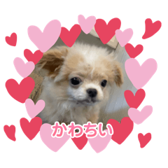 rina_20250301124559