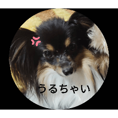 hana_20250301131635