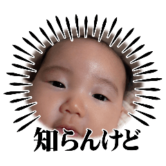 mei_20250301131544