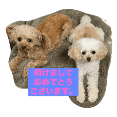 abc_20250301132710