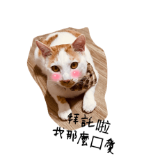 屁孩～米茶