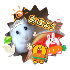 karin_20250301134038